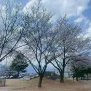 @プロフ確認して下さい⚠️の画像