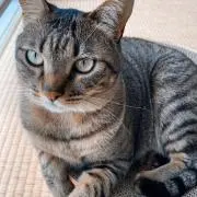 へり