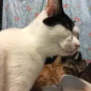 maru.の画像