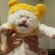 もちたろ