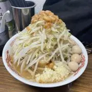 ジロの画像