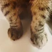 m@