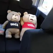 くろまめちゃんの画像