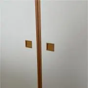 とんちゃんの画像