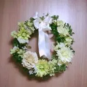 ちゃちゃまるの画像
