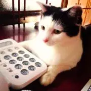みー