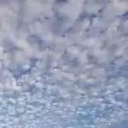 ta.taの画像