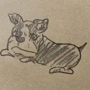 ほしの画像