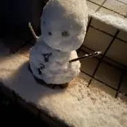 しゅ