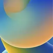 sss