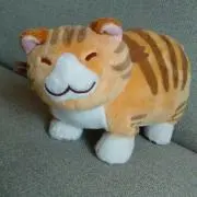 Image of しまちゃん