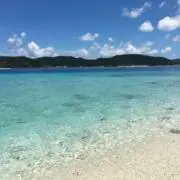 k....の画像