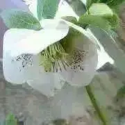munu munuの画像