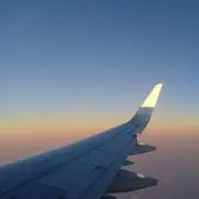 イッタラの画像
