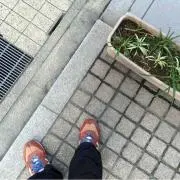 wの画像