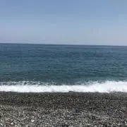 はるの画像