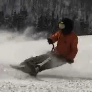 ティー(゜ω゜)