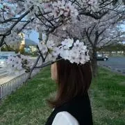 ROPの画像