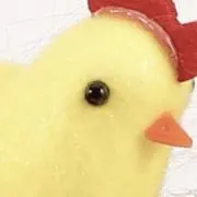 ベグの画像