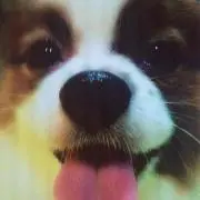 ぬぬぬ
