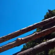 y―61の画像