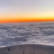 N Oの画像