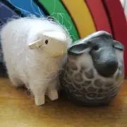 オオルリ