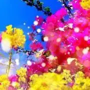 e_e.iji プロフ必読‼︎!
