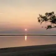 stの画像