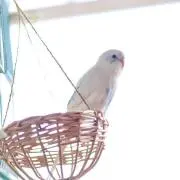 Lorent アパレル・天然石