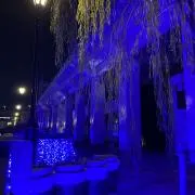 tbsの画像