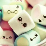 チェリーの画像