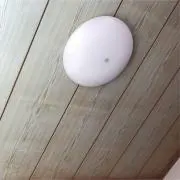 ちん