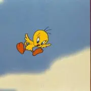7の画像