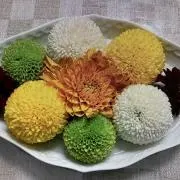 misioの画像