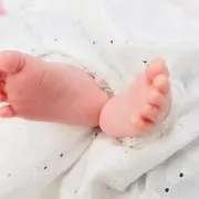 まりもの画像