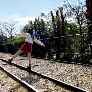 りんの画像
