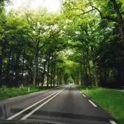 みかんの画像