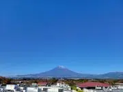 ぽんの画像