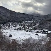冬馬の画像