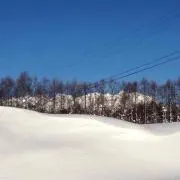 ごるご