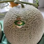 メロン