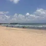 ニシキダの画像