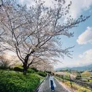 なっか