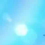 亀火(きび)の画像