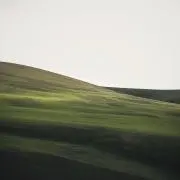olの画像