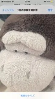 ももぴの画像