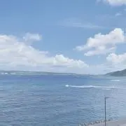 ちゃむ【セール中】の画像