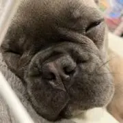 かず