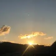 Rinkoの画像